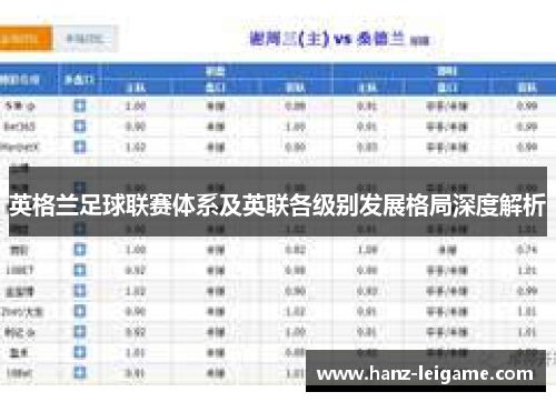 英格兰足球联赛体系及英联各级别发展格局深度解析 英格兰足球联赛体系及英联各级别发展格局深度解析