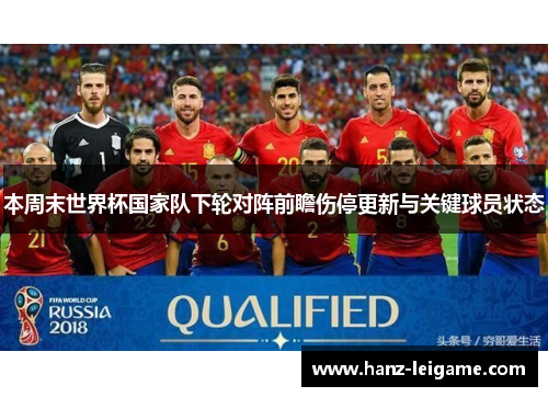 本周末世界杯国家队下轮对阵前瞻伤停更新与关键球员状态